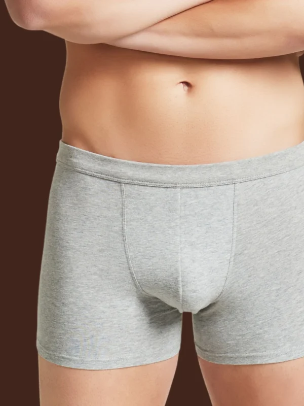 ragno uomo grigio 4 COMFORT - PARIGAMBA IN COTONE ELASTICIZZATO - BIPACK